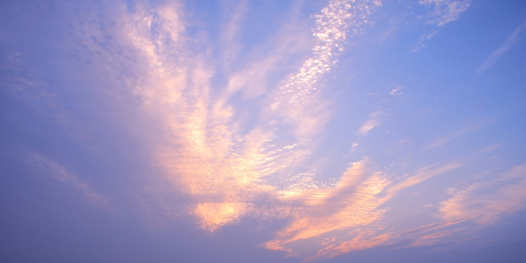 rising from the ashes